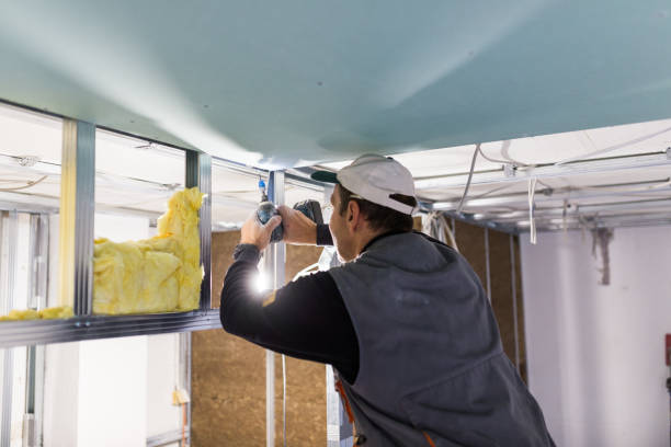 Best Commercial Insulation in Green Forest, AR