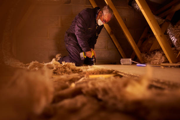 Professional Insulation Contractor in Green Forest, AR